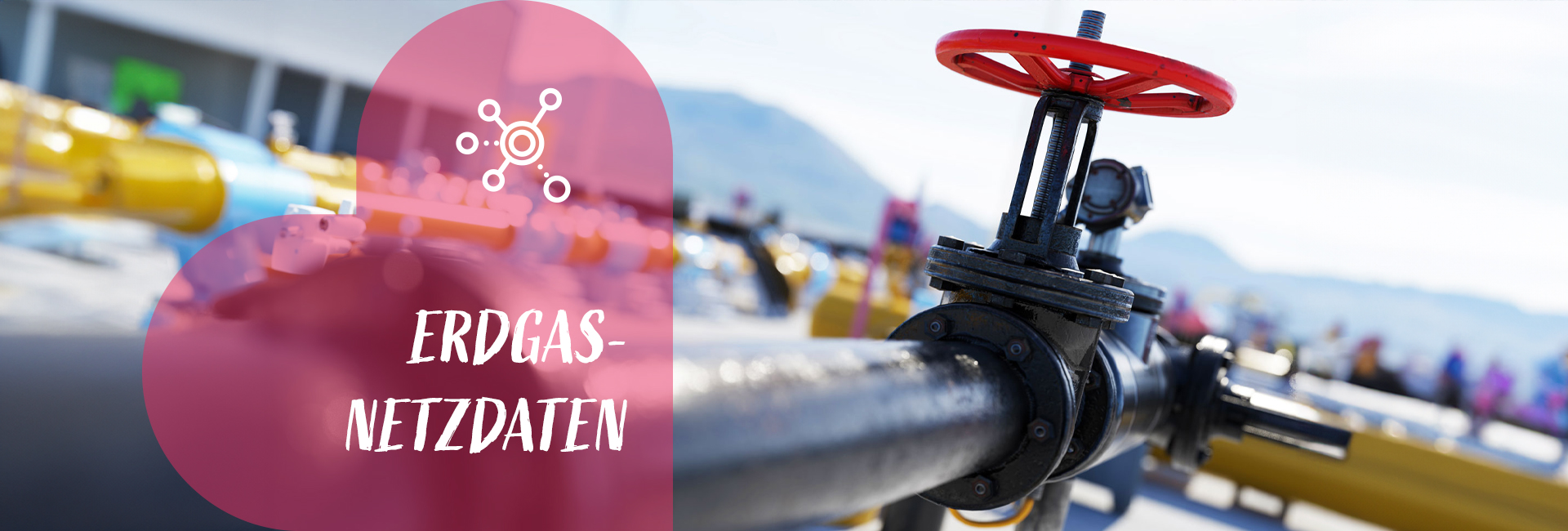 Herobild Erdgas-Netzdaten